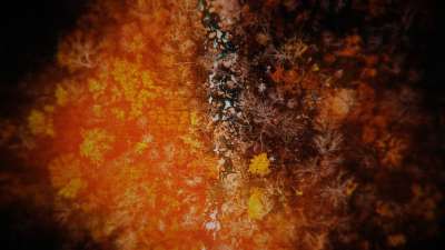 Aerial Journey 7