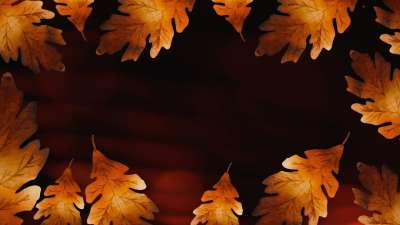 Autumn Glow 1
