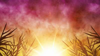 Bright Palm Sunday 06