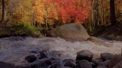 Northwest Fall 7