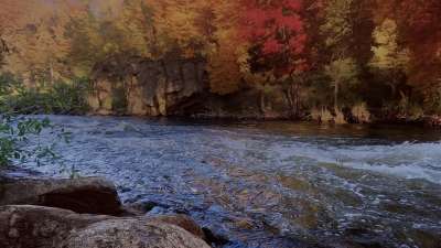 Northwest Fall 9