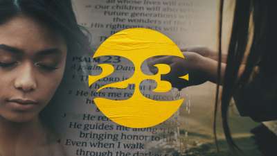 23