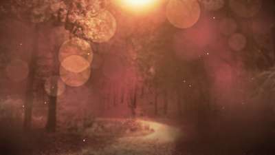 Fall Background 1 Loop Vol4
